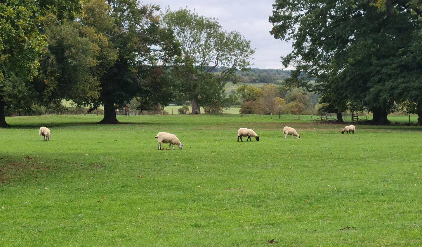 A Cotswolds Guide — Pretty Places to Visit
