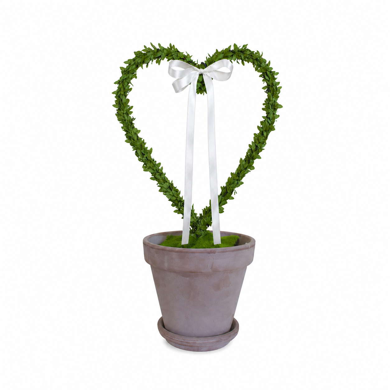 Heart-shaped greenery arrangement in a pot with white ribbons on a white background